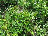 00 142 Place - Photo 8