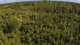 11005 165TH TERRACE Road - Photo 3
