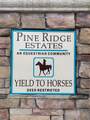 5202 Allamandra Drive - Photo 4