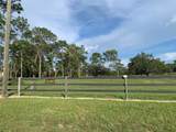 5202 Allamandra Drive - Photo 7