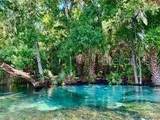 5202 Allamandra Drive - Photo 8