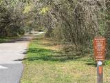 5202 Allamandra Drive - Photo 9