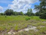 3814 Rancetta Street - Photo 6