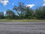 8365 Ibsen Drive - Photo 4