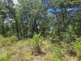 8365 Ibsen Drive - Photo 8