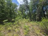 8365 Ibsen Drive - Photo 9