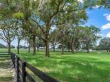 12941 8TH Avenue - Photo 13