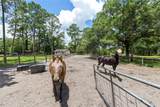 16353 130 Street - Photo 42