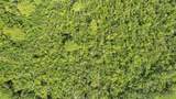 0000 Cummer Road - Photo 10