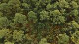  Lots 8,9,15 00 Adams Beach Road - Photo 10