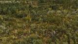  Lots 8,9,15 00 Adams Beach Road - Photo 14