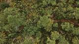  Lots 8,9,15 00 Adams Beach Road - Photo 3
