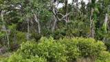  Lots 8,9,15 00 Adams Beach Road - Photo 6