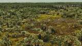  00 LOTS 18,19 ADAMS BEACH ROAD - Photo 16