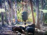 0 Se Bee Tree Rd - Photo 10