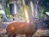 0 Se Bee Tree Rd - Photo 13