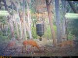 0 Se Bee Tree Rd - Photo 14