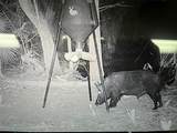 0 Se Bee Tree Rd - Photo 4