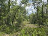 00 121ST Avenue - Photo 3