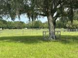 905 80TH Avenue - Photo 9