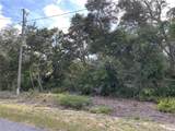  Olive Road - Photo 4