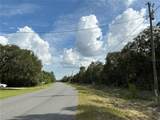  Olive Road - Photo 6