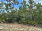  Persimmon Avenue - Photo 1