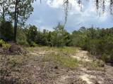 9730 State Road 24 - Photo 12
