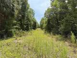 9730 State Road 24 - Photo 18