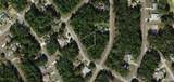 8425 Foresome Way - Photo 1