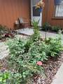 2701 10TH Street - Photo 4