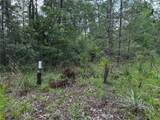6270 139TH Avenue - Photo 4