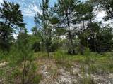 6270 139TH Avenue - Photo 7