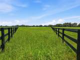 TBD (Lot 14-W) 138TH Loop - Photo 18