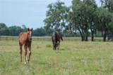 TBD (Lot 22-W) 138TH Loop - Photo 24