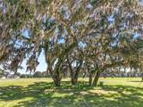 TBD (Lot 22-W) 138TH Loop - Photo 30