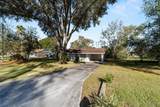 21529 Honeysuckle Street - Photo 10