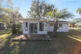 21529 Honeysuckle Street - Photo 34