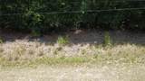 12792 Baltic Ivy Street - Photo 3