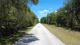 12792 Baltic Ivy Street - Photo 6