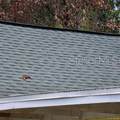 8869 Ogden Lane - Photo 5