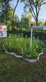 10335 Abby Drive - Photo 47