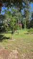 10335 Abby Drive - Photo 50