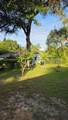 10335 Abby Drive - Photo 51