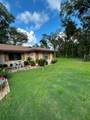 10335 Abby Drive - Photo 58