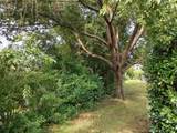 3716 Cove Park Trail - Photo 8