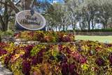 3405 Spyglass Village Path - Photo 51