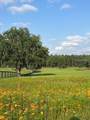 TBD Hwy 329 - Photo 13