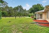 389 Big Tree Road - Photo 35