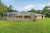389 Big Tree Road - Photo 36